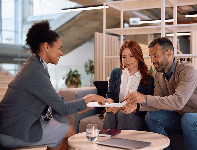 Professional consultation with clients